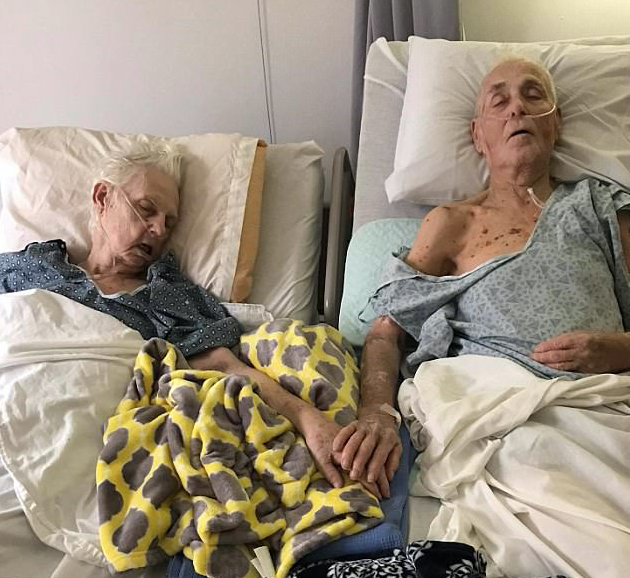 Супруги прожили вместе более 60 лет и умерли одновременно, взявшись за руки