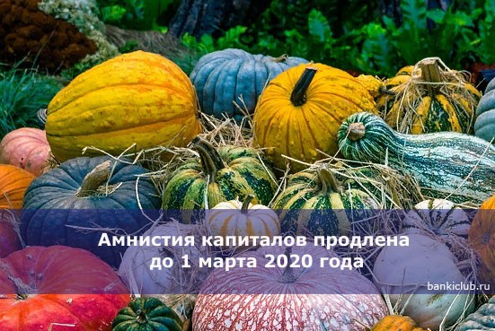 Амнистия капиталов продлена до 1 марта 2020 года