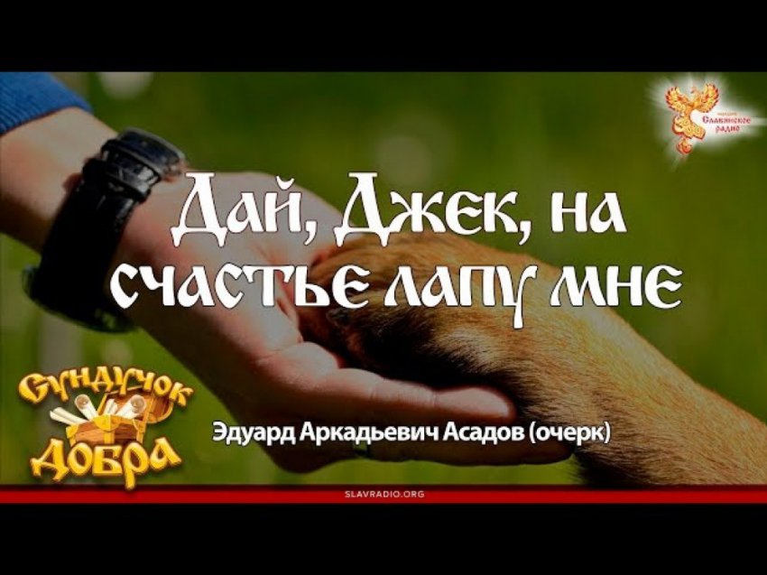 Сундучок Добра. Дай, Джек, на счастье лапу мне. ВальКА
