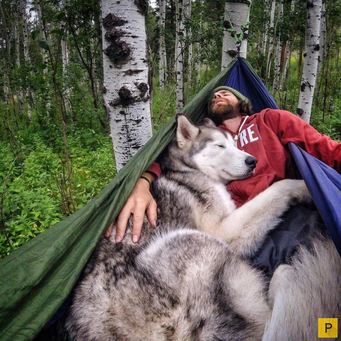 10 трогательных фотографий, подтверждающих дружбу между человеком и собакой
