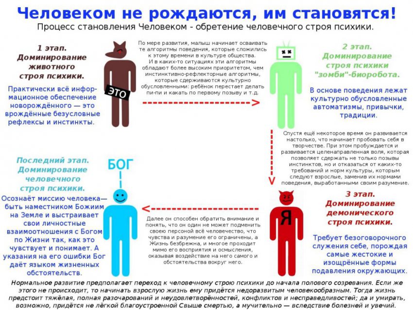 Подробная методичка по воспитанию Человека из ребёнка