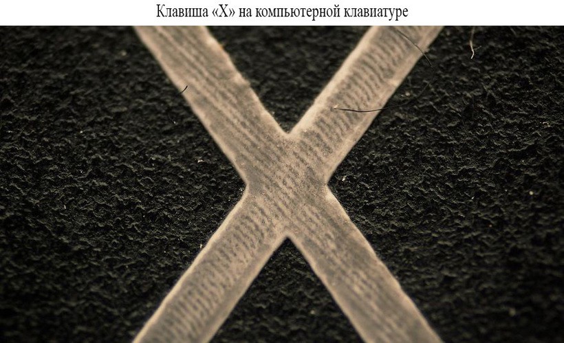 Жизнь в макромире: потрясающие макроснимки предметов обыденности