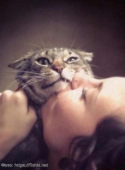 10 фото котов, которые терпеть не могут обниматься и целоваться