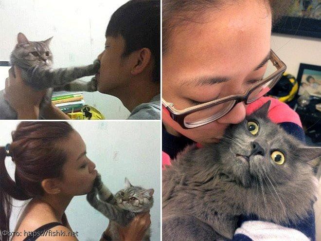 10 фото котов, которые терпеть не могут обниматься и целоваться