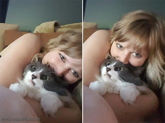 10 фото котов, которые терпеть не могут обниматься и целоваться