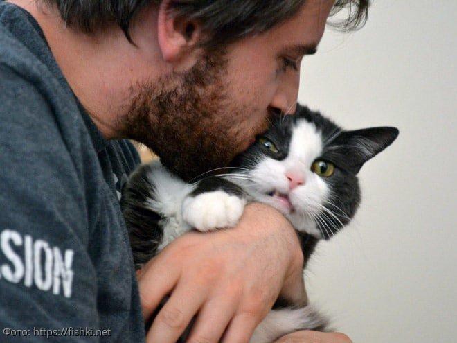 10 фото котов, которые терпеть не могут обниматься и целоваться