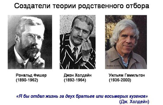 Эволюционные основы человеческого альтруизма. Часть 1-3