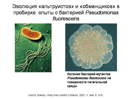Эволюционные основы человеческого альтруизма. Часть 1-3