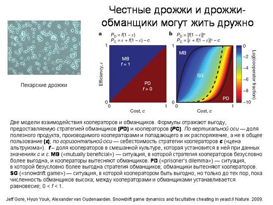Эволюционные основы человеческого альтруизма. Часть 1-3