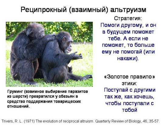 Эволюционные основы человеческого альтруизма. Часть 1-3