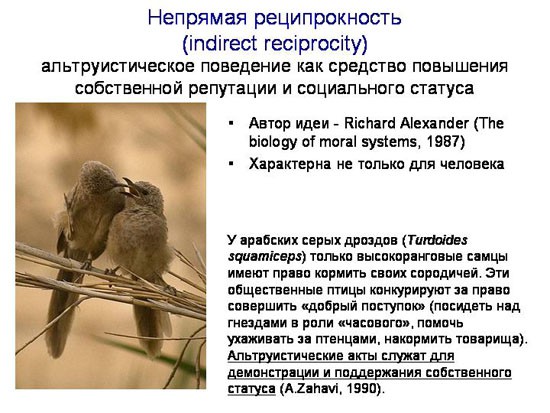 Эволюционные основы человеческого альтруизма. Часть 1-3