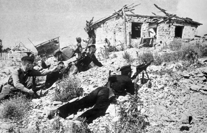 Военный ишак и черепаха-диверсант: как животные помогали Красной армии