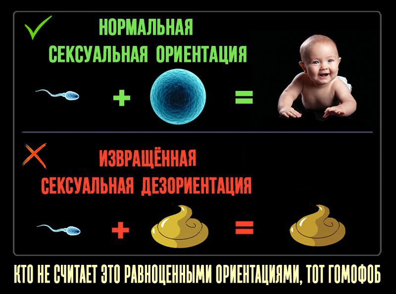 Логические ошибки и уловки ЛГБТ-активистов