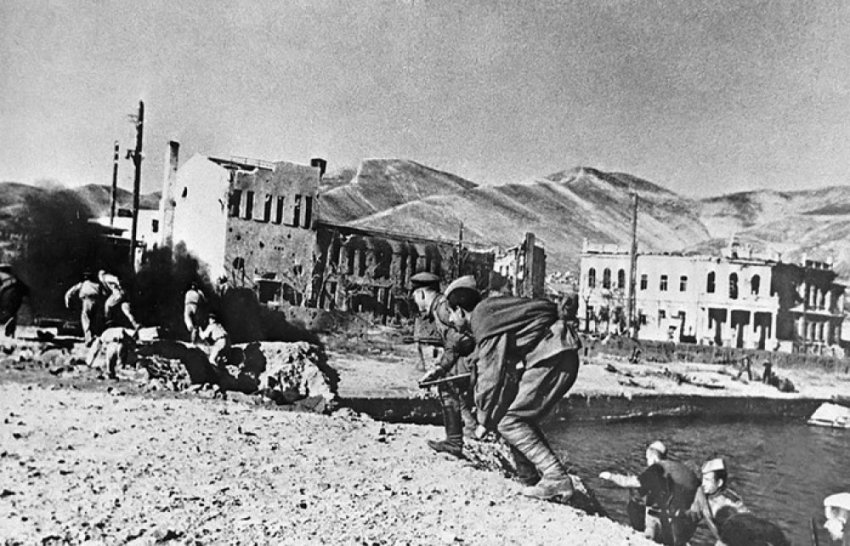 Военный ишак и черепаха-диверсант: как животные помогали Красной армии