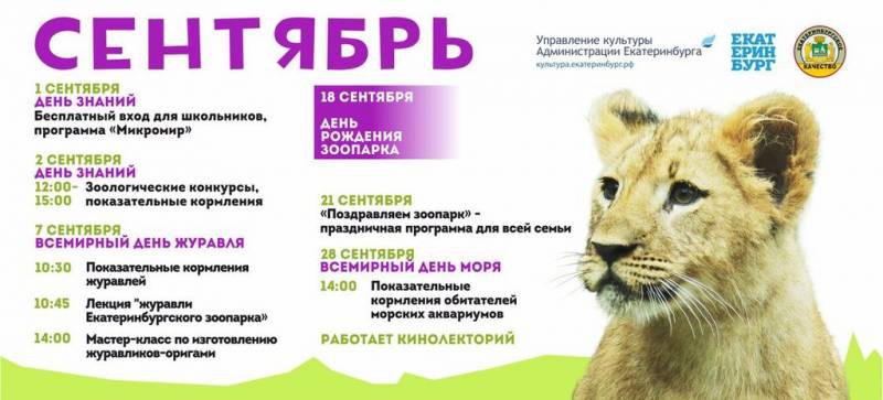 Всеминый день журавля отметят по всей стране 8 сентября 2019 года