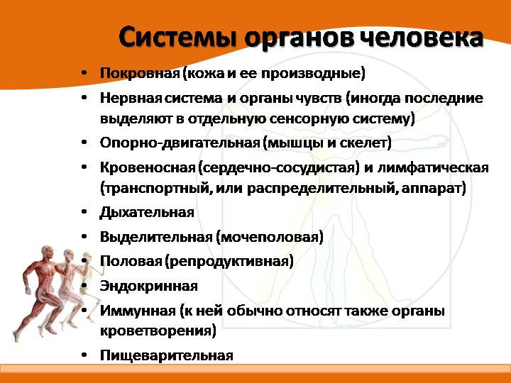 Движение - жизнь. Природосообразность двигательной активности человека Движение - жизнь. Природосообразность двигательной активности человека