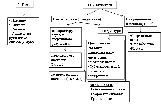 Движение - жизнь. Природосообразность двигательной активности человека Движение - жизнь. Природосообразность двигательной активности человека