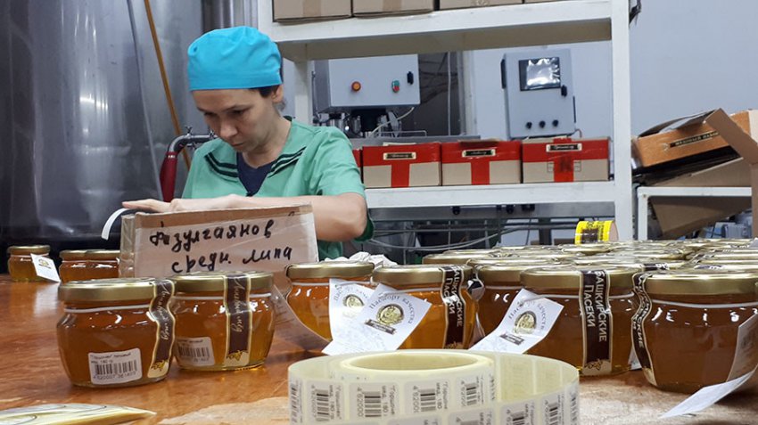 Массовая гибель пчёл связана с производством рапса для Европы