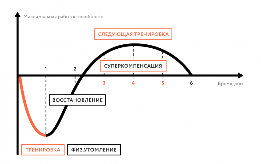 Движение - жизнь. Природосообразность двигательной активности человека