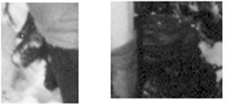 Разбор всех фотографий поисковиков группы Дятлова Разбор всех фотографий поисковиков группы Дятлова