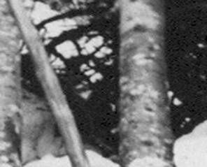 Разбор всех фотографий поисковиков группы Дятлова Разбор всех фотографий поисковиков группы Дятлова