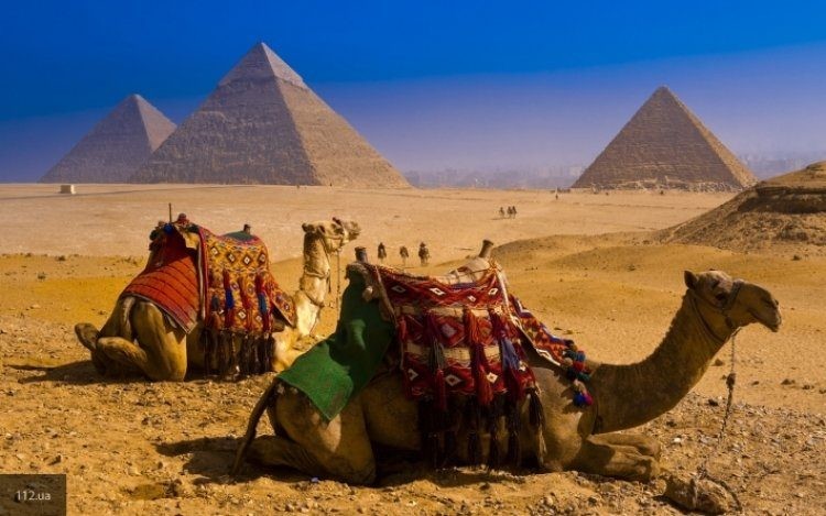 Российские власти тормозят вопрос по открытию авиасообщения с египетскими курортами в 2019 году