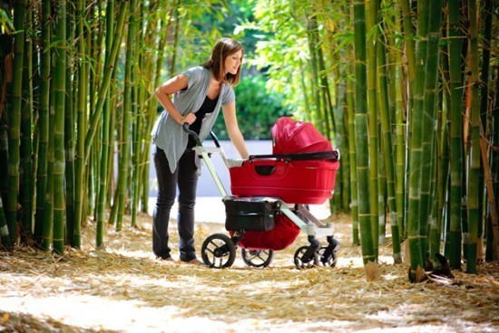 Сколько можно гулять с новорожденным осенью, зимой и летом? Сколько можно гулять с новорожденным осенью, зимой и летом?