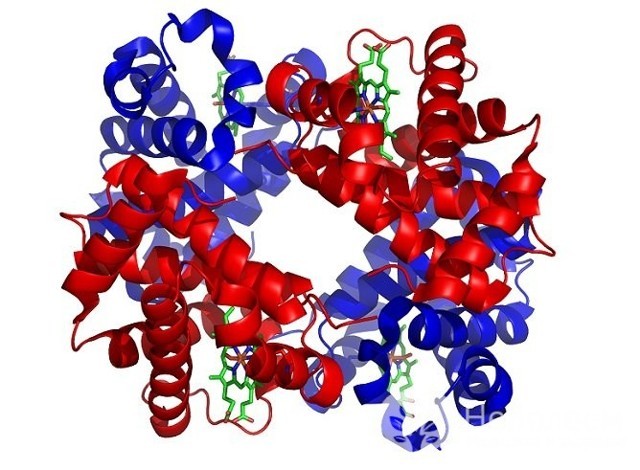Синяки под глазами у ребенка: 12 возможных причин, методы лечения и профилактики Синяки под глазами у ребенка: 12 возможных причин, методы лечения и профилактики