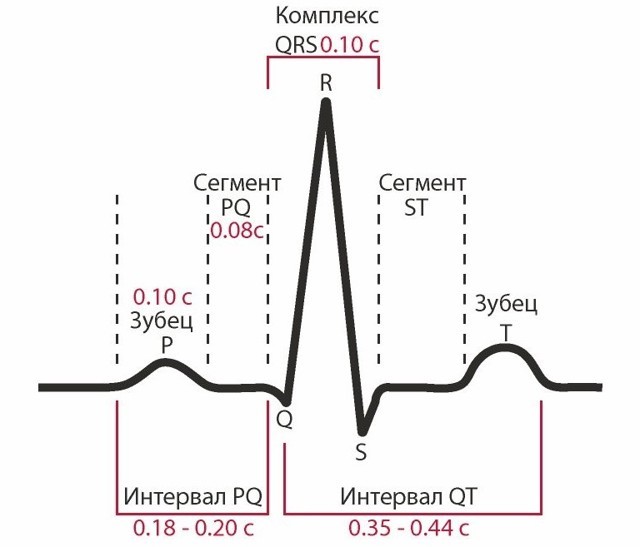 Экг расшифровка у детей: 4 важных показания, норма и отклонения Экг расшифровка у детей: 4 важных показания, норма и отклонения