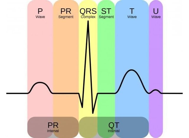 Экг расшифровка у детей: 4 важных показания, норма и отклонения Экг расшифровка у детей: 4 важных показания, норма и отклонения