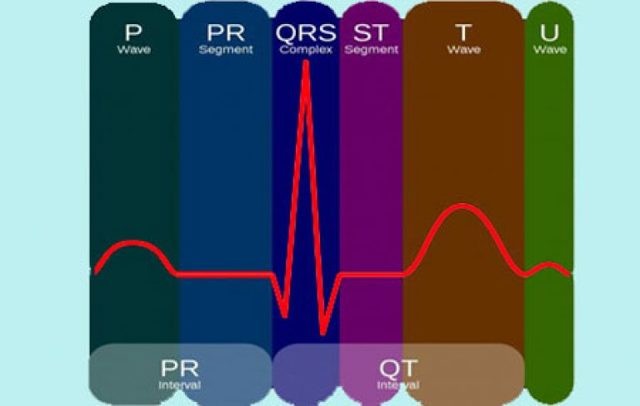 Экг расшифровка у детей: 4 важных показания, норма и отклонения Экг расшифровка у детей: 4 важных показания, норма и отклонения