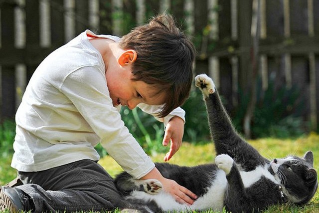 Чем лечить лишай у ребёнка: 6 основных принципов терапии Чем лечить лишай у ребёнка: 6 основных принципов терапии