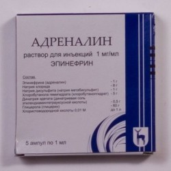 Анафилактический шок у детей: 5 основных причин развития Анафилактический шок у детей: 5 основных причин развития