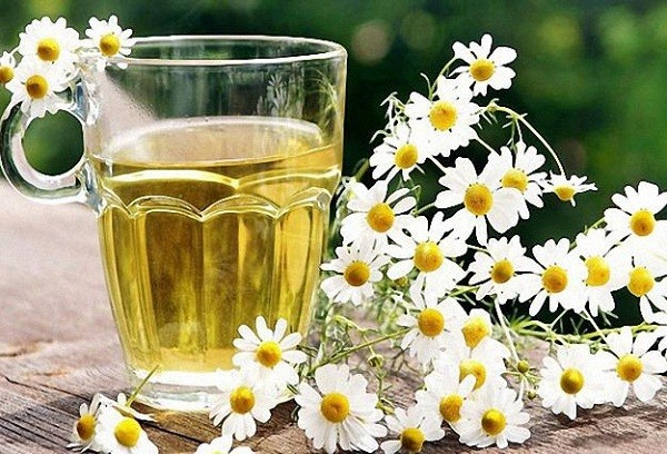 С какого возраста можно давать ребенку чай: черный или зеленый, состав напитка и как выбрать?