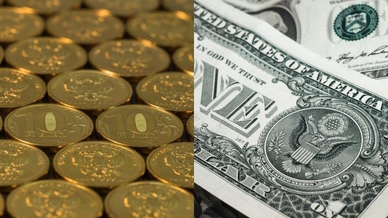 Об успехах дедолларизации в России в 2019 году сообщила французская пресса