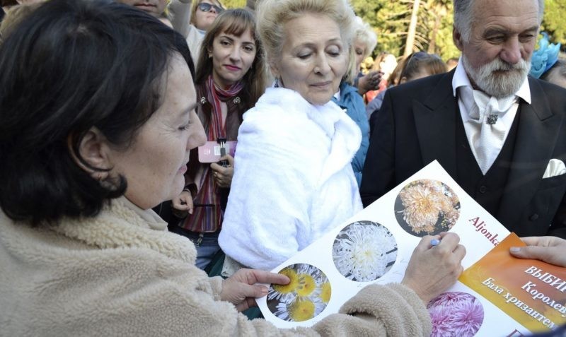 «Бал хризантем» провели в Крыму 2019 года, объявлен цветок-победитель «Бал хризантем» провели в Крыму 2019 года, объявлен цветок-победитель