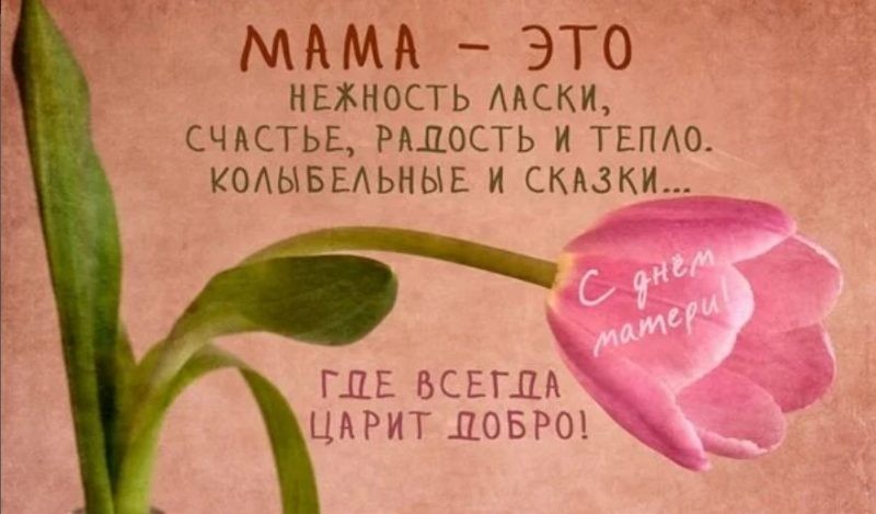 Поздравления в стихах ко Дню матери в 2019 году порадуют каждую женщину