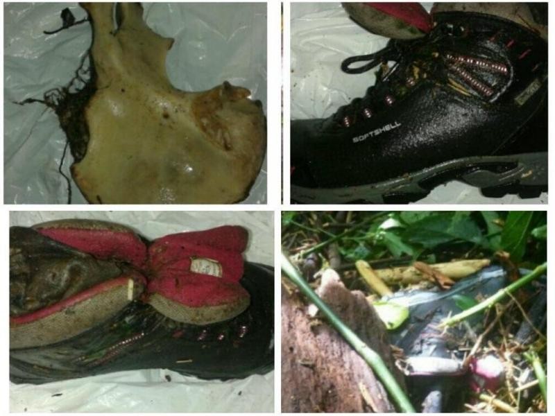 Расследование гибели Крис Кремерс и Лисанн Фрон в панамских джунглях Расследование гибели Крис Кремерс и Лисанн Фрон в панамских джунглях