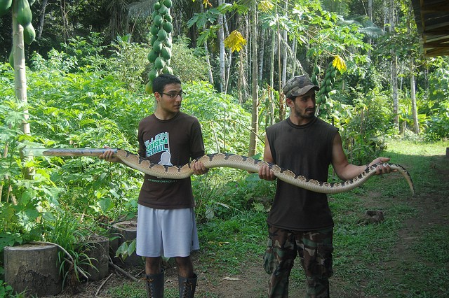 Расследование гибели Крис Кремерс и Лисанн Фрон в панамских джунглях Расследование гибели Крис Кремерс и Лисанн Фрон в панамских джунглях