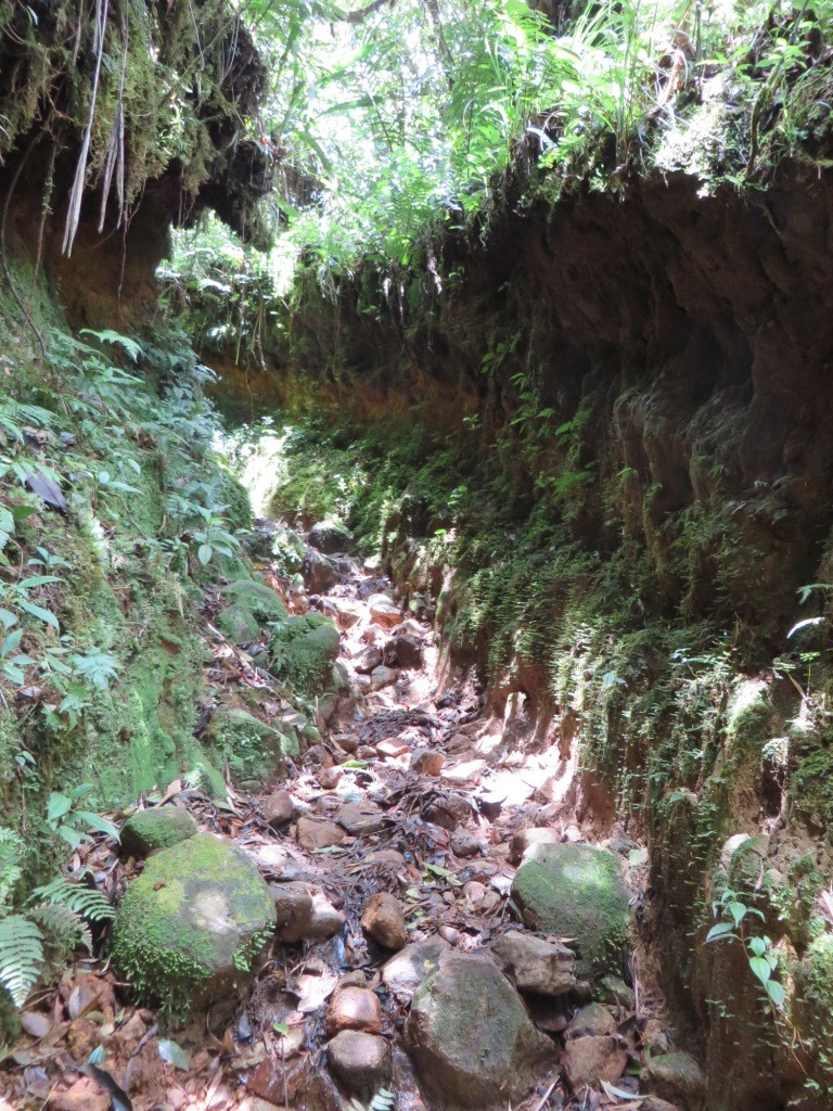 Расследование гибели Крис Кремерс и Лисанн Фрон в панамских джунглях Расследование гибели Крис Кремерс и Лисанн Фрон в панамских джунглях