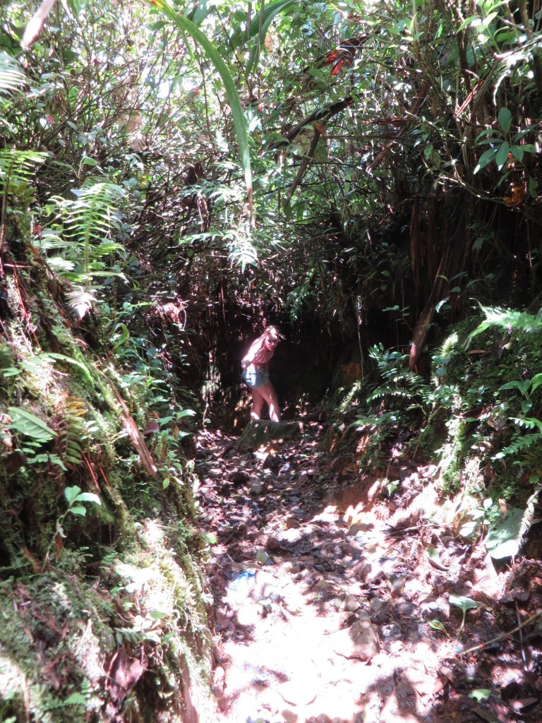 Расследование гибели Крис Кремерс и Лисанн Фрон в панамских джунглях Расследование гибели Крис Кремерс и Лисанн Фрон в панамских джунглях