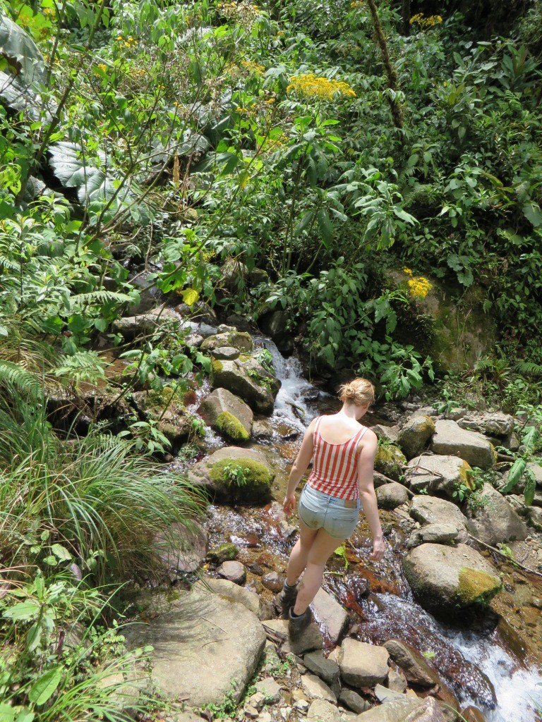 Расследование гибели Крис Кремерс и Лисанн Фрон в панамских джунглях Расследование гибели Крис Кремерс и Лисанн Фрон в панамских джунглях