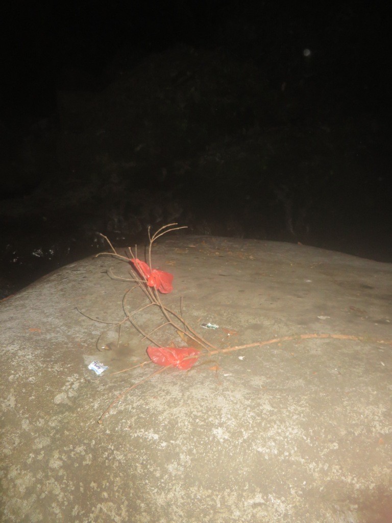 Расследование гибели Крис Кремерс и Лисанн Фрон в панамских джунглях Расследование гибели Крис Кремерс и Лисанн Фрон в панамских джунглях