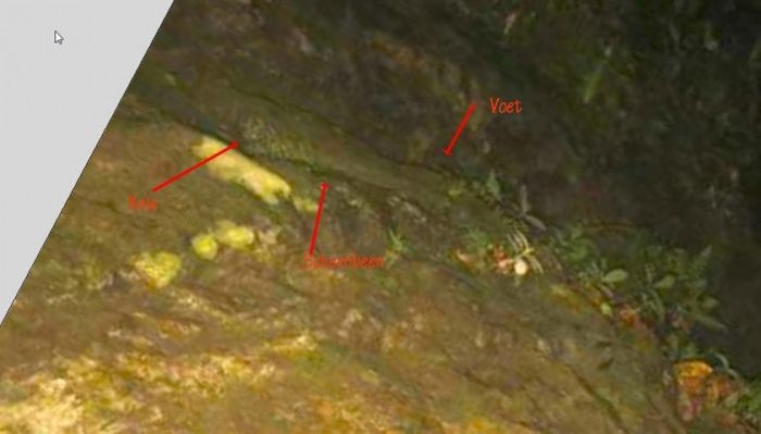 Расследование гибели Крис Кремерс и Лисанн Фрон в панамских джунглях Расследование гибели Крис Кремерс и Лисанн Фрон в панамских джунглях