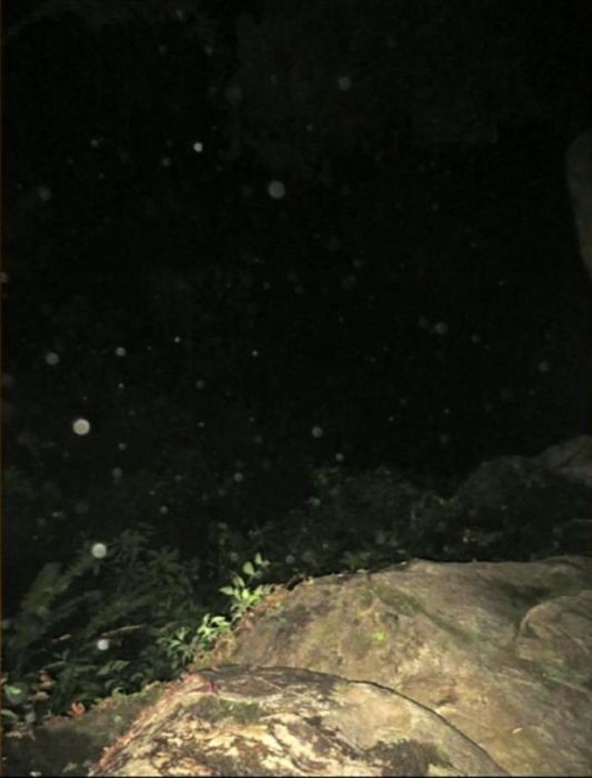 Расследование гибели Крис Кремерс и Лисанн Фрон в панамских джунглях Расследование гибели Крис Кремерс и Лисанн Фрон в панамских джунглях