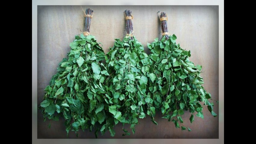 ТОП-8 способов обеспечить жизнь за счёт собирательства