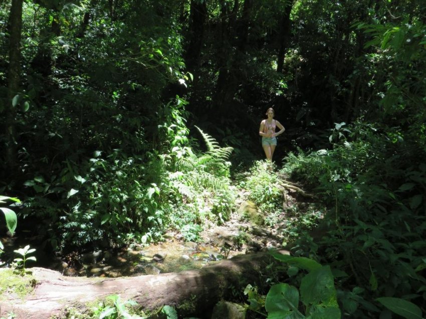 Расследование гибели Крис Кремерс и Лисанн Фрон в панамских джунглях