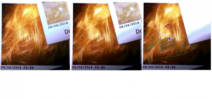 Расследование гибели Крис Кремерс и Лисанн Фрон в панамских джунглях