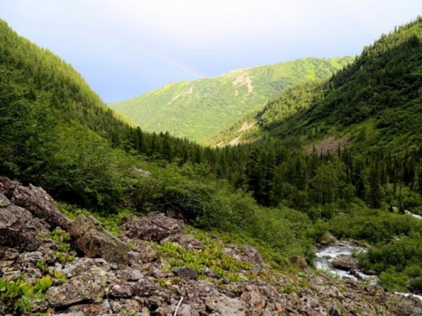 Дёминское золото - легенда или быль?