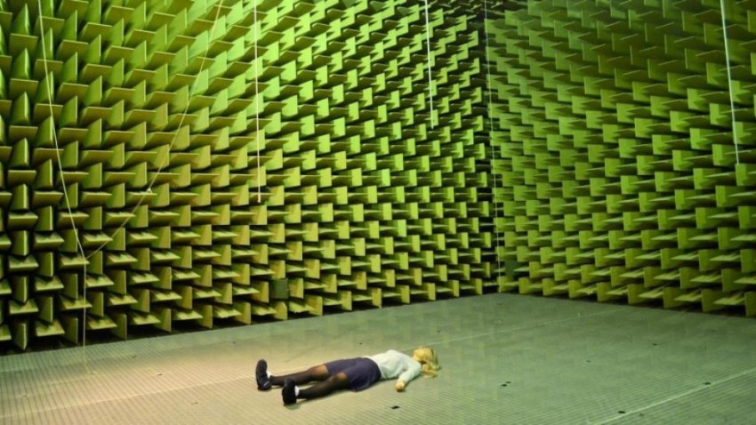 Мозг человека в звуконепроницаемой комнате сходит с ума